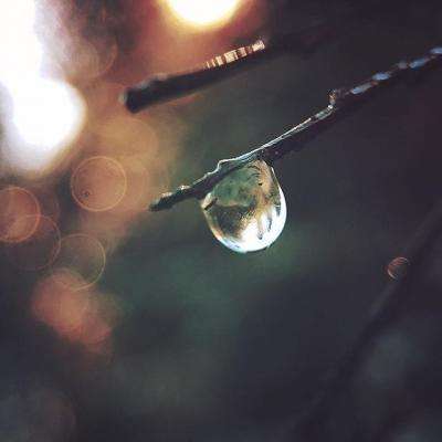 亿博手机端app下载安装